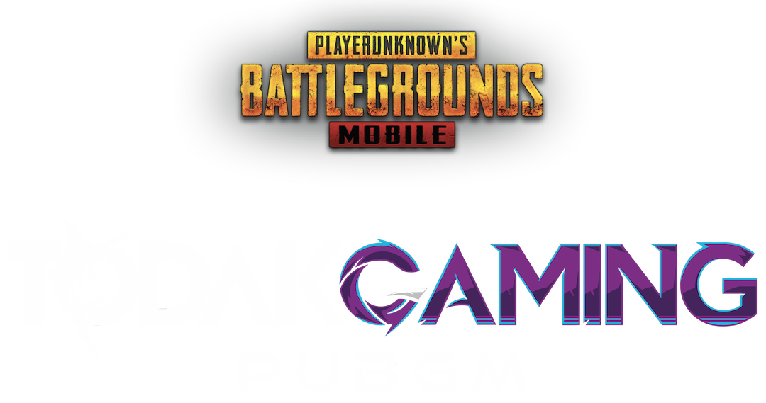 PUBGM