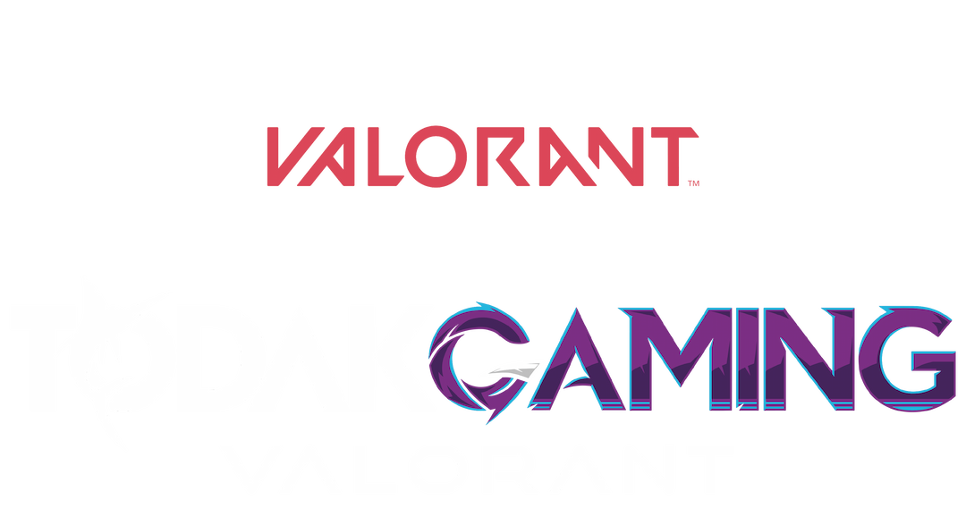 VALORANT